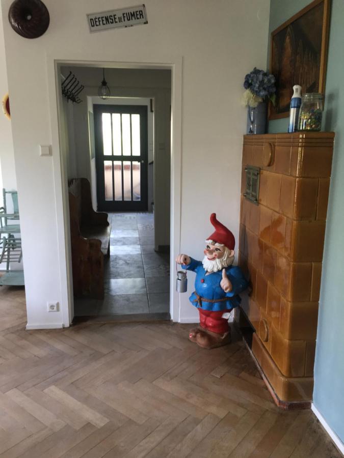 Chalet Montsegur Vila Colmar Exterior foto